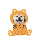 動物の集合22（個別スタンプ：7）