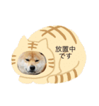 動物の集合22（個別スタンプ：8）