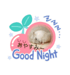 動物の集合22（個別スタンプ：9）