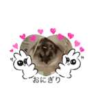 動物の集合22（個別スタンプ：18）