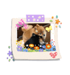 メリー＆サリー（個別スタンプ：3）
