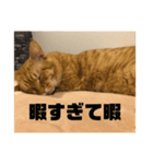 Niwa man_20200719141344（個別スタンプ：8）