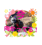 ♡♡栃木のAkkyたん♡♡（個別スタンプ：15）