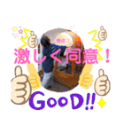 ♡♡栃木のAkkyたん♡♡（個別スタンプ：27）