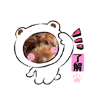 トイプードル・レオン（個別スタンプ：8）