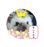 ハリネズミ ちむちむ君だよ（個別スタンプ：7）