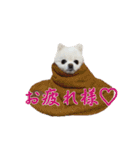 ゆるぱる（個別スタンプ：5）