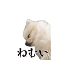 ゆるぱる（個別スタンプ：6）