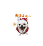 ゆるぱる（個別スタンプ：9）