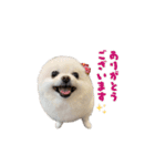ゆるぱる（個別スタンプ：11）