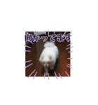 ゆるぱる（個別スタンプ：21）