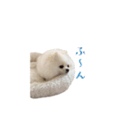 ゆるぱる（個別スタンプ：25）
