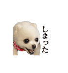 ゆるぱる（個別スタンプ：27）
