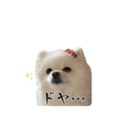 ゆるぱる（個別スタンプ：28）