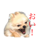 メー君スタンプ（個別スタンプ：3）