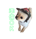 メー君スタンプ（個別スタンプ：9）