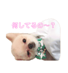 メー君スタンプ（個別スタンプ：14）