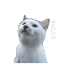 ながね家 ②（個別スタンプ：6）