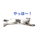 ながね家 ②（個別スタンプ：8）
