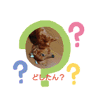 キッズとわんこ（個別スタンプ：6）