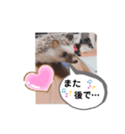 ハリネズミ ちむちむ君だよ4（個別スタンプ：7）