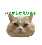 ミルク君の日常（個別スタンプ：2）