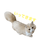 ミルク君の日常（個別スタンプ：5）