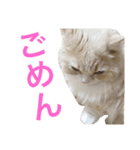 ミルク君の日常（個別スタンプ：6）