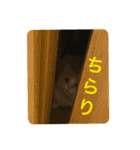ミルク君の日常（個別スタンプ：8）