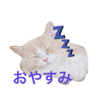 ミルク君の日常（個別スタンプ：11）