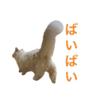 ミルク君の日常（個別スタンプ：15）