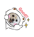 ポメチワ☆ビビちゃん（個別スタンプ：32）