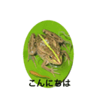プラ池の生きもの家族（個別スタンプ：5）