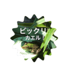 プラ池の生きもの家族（個別スタンプ：8）
