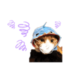 茶白猫のきーちゃん。（個別スタンプ：9）