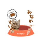 なのですよ（個別スタンプ：2）