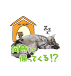 なのですよ（個別スタンプ：3）