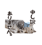 なのですよ（個別スタンプ：5）