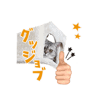 なのですよ（個別スタンプ：6）