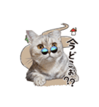 なのですよ（個別スタンプ：7）