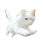 ノブは猫（個別スタンプ：7）