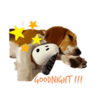 ビィーちゃんスタンプ Ver.2（個別スタンプ：3）