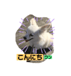 はっぴぃと一緒（個別スタンプ：3）