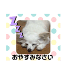 はっぴぃと一緒（個別スタンプ：4）