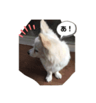 はっぴぃと一緒（個別スタンプ：7）