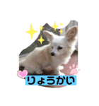 はっぴぃと一緒（個別スタンプ：8）