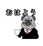 ダンディパグ（個別スタンプ：1）