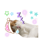 Cocoちゃんにゃんこちゃんスタンプ3（個別スタンプ：8）