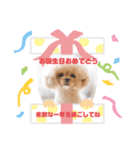 momemimaスタンプ（個別スタンプ：2）