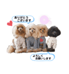 momemimaスタンプ（個別スタンプ：6）